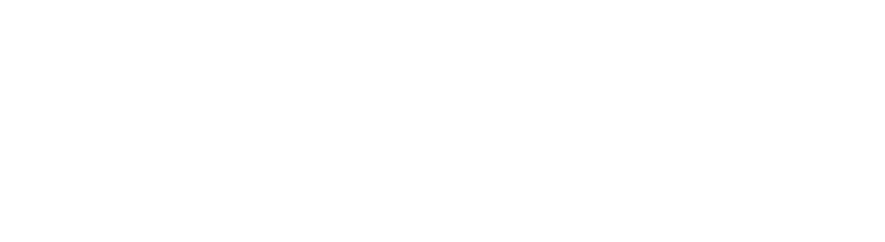 Boletu